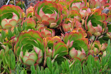 ƶ|ɽ׵طƶǨƶ˿ȫȶƶ